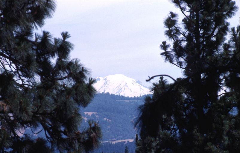 Vacation-1983 Oregon Uncle Jay-224